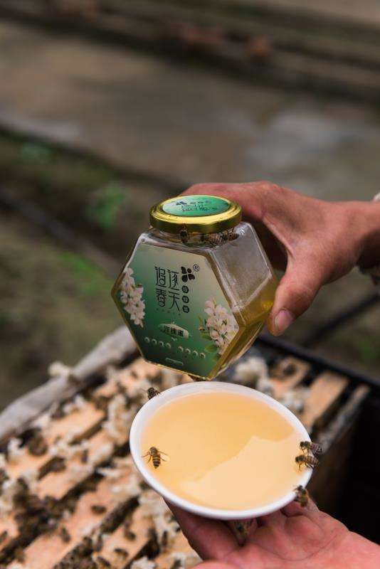 土蜂蜜 玻璃瓶装 2年以上  