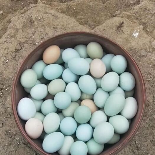 紫金县土鸡蛋 食用 箱装 