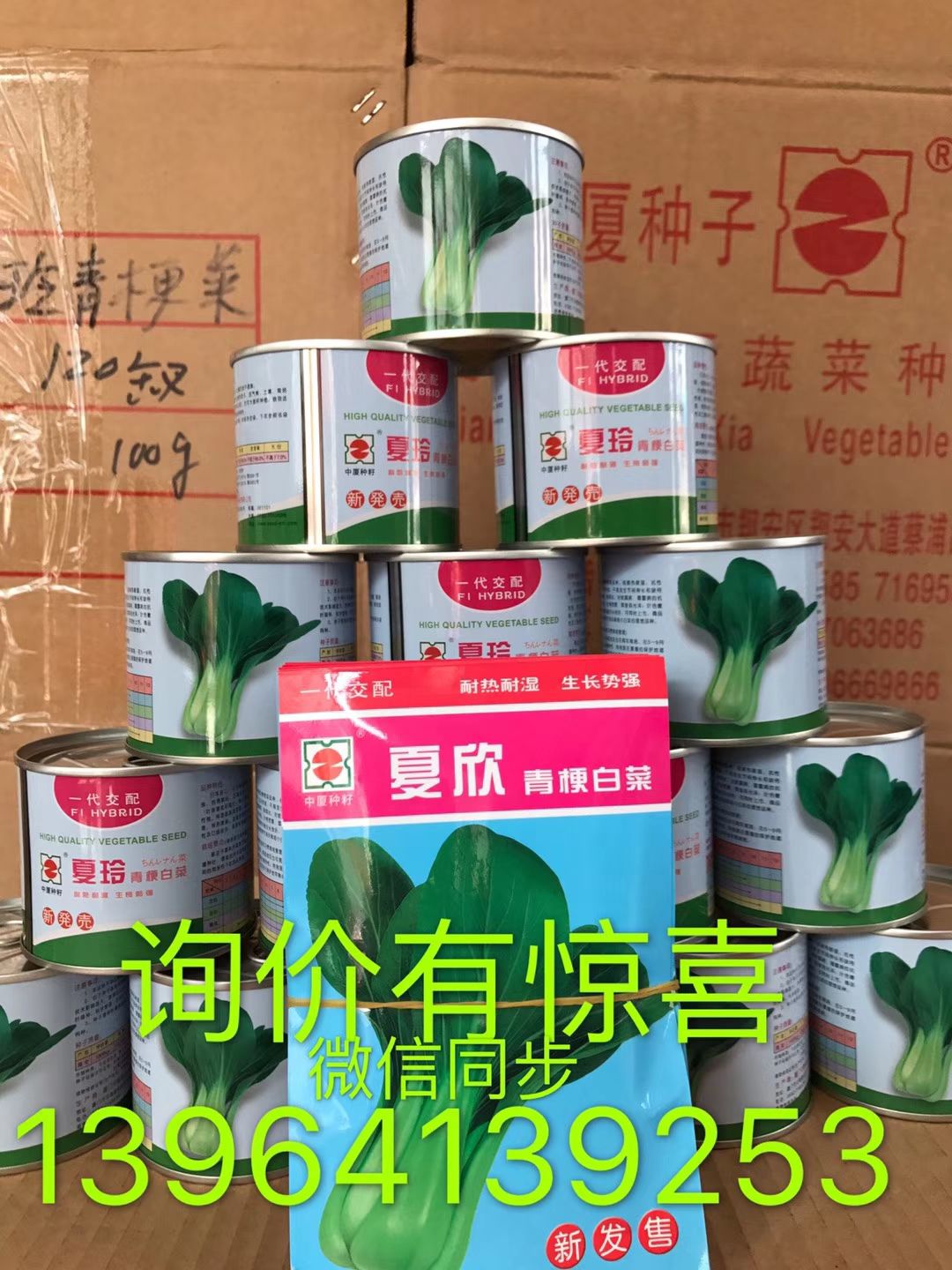 青梗菜种子  耐热抗病耐雨水罐装的12.6