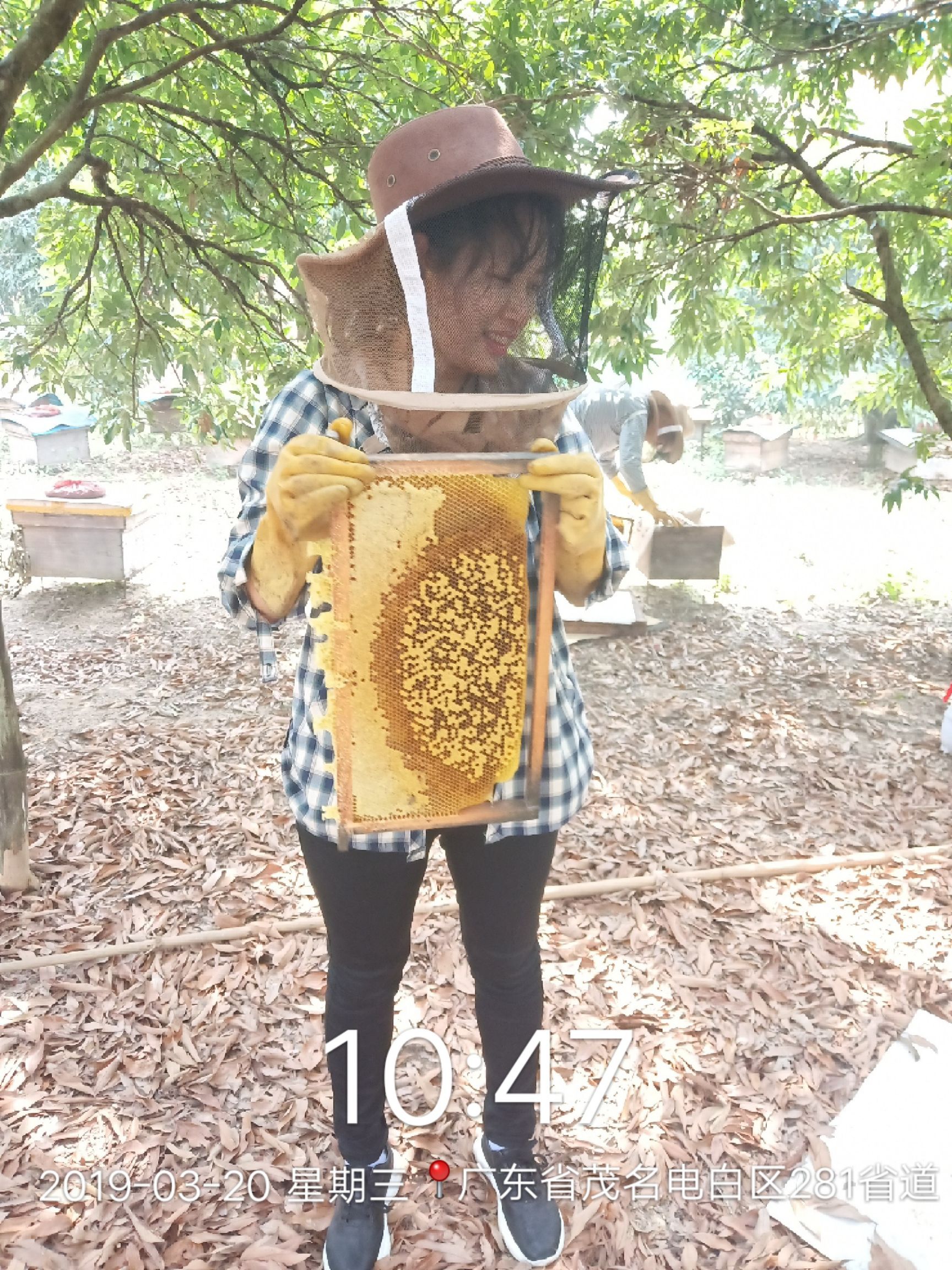 荔枝蜜 塑料瓶装 1年  