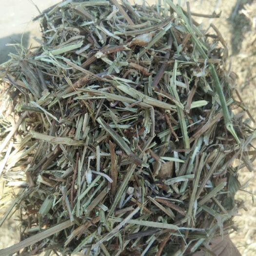 宁陵县花生秧 牛羊兔用大量现货
