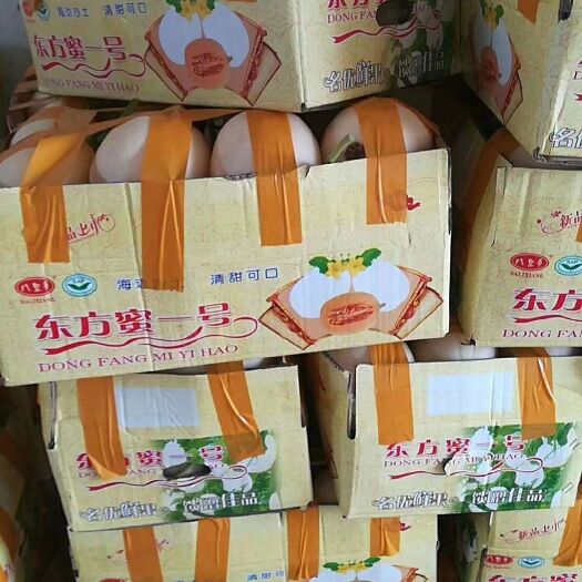 滑县东方蜜1号 1.5斤以上 