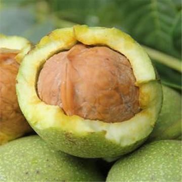 泰山核桃 30mm以上 袋装 去皮