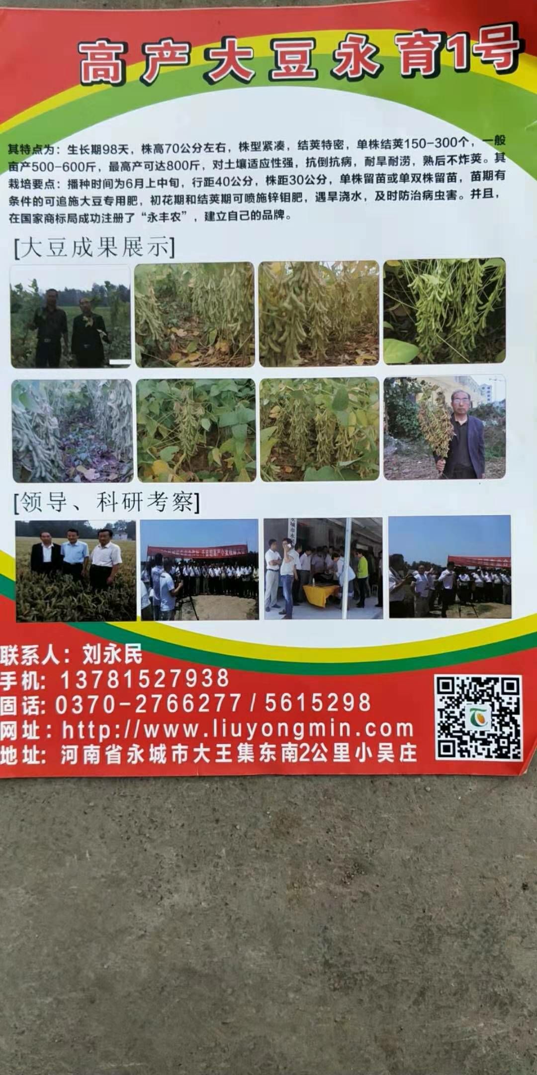 黄豆种子 原种 ≥99.9% ≥99% ≤10%