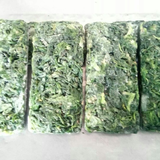 南阳散叶荠菜 10cm以上 