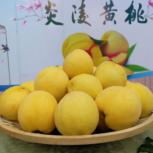 炎陵县炎陵黄桃  45mm以上 3 - 4两 黄桃王子香脆甜