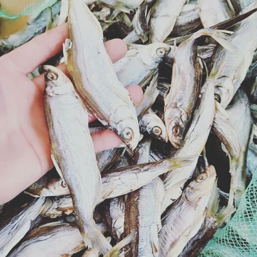 玉溪小鱼干 