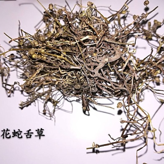 安国市白花蛇舌草  纯货草药