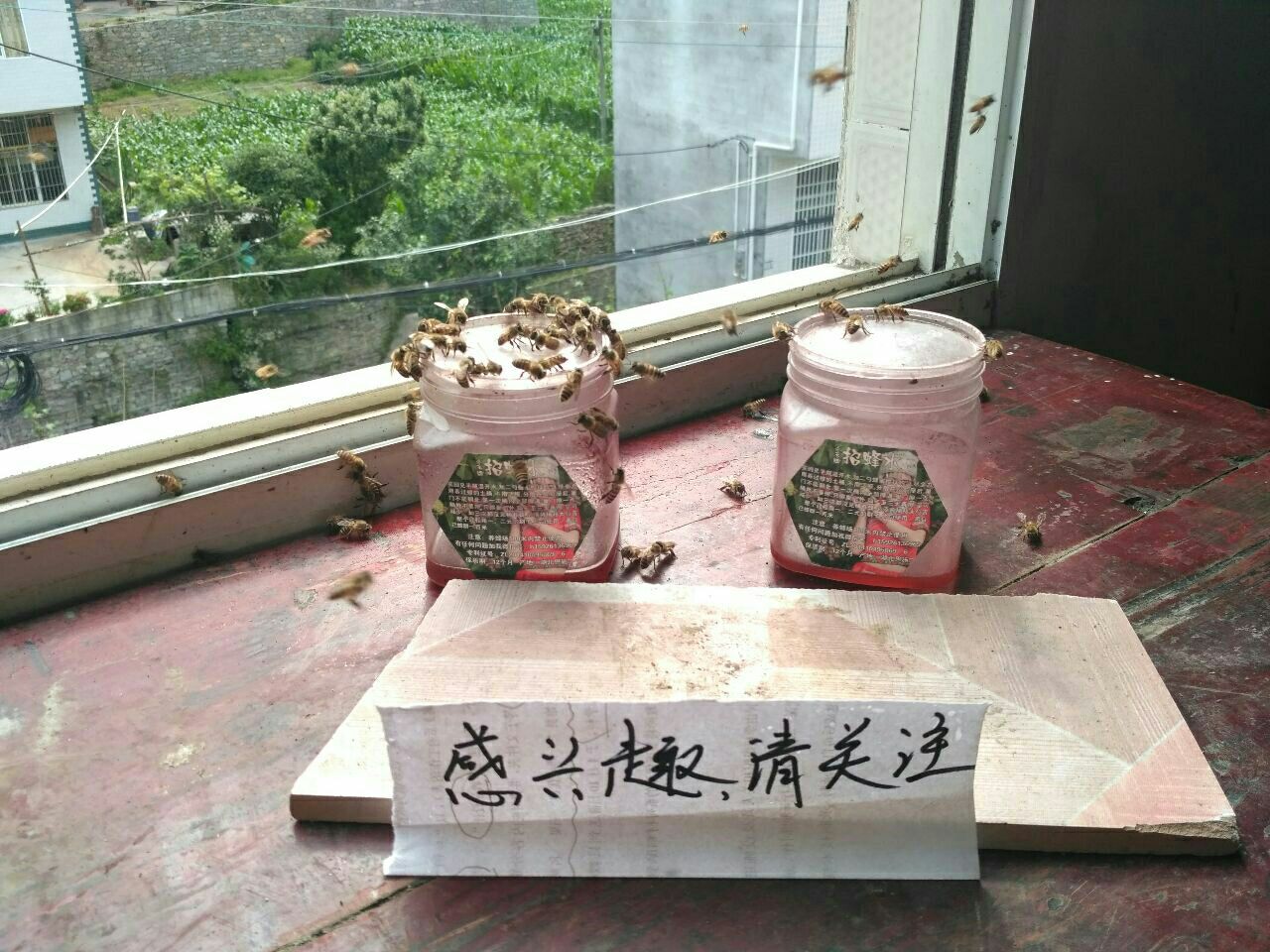 杉木蜂箱 招蜂水 引蜂水 诱蜂水