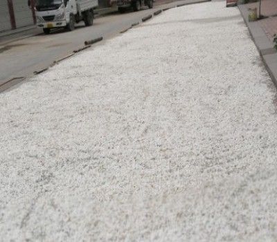 纯干货大别山一特产茯苓