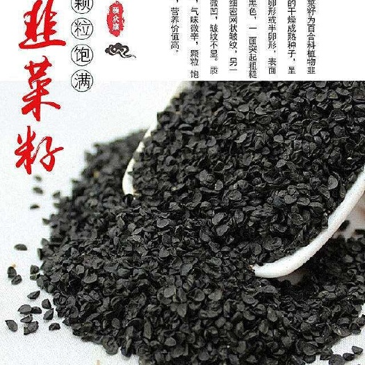 韭菜子  规格齐全 一公斤起包邮