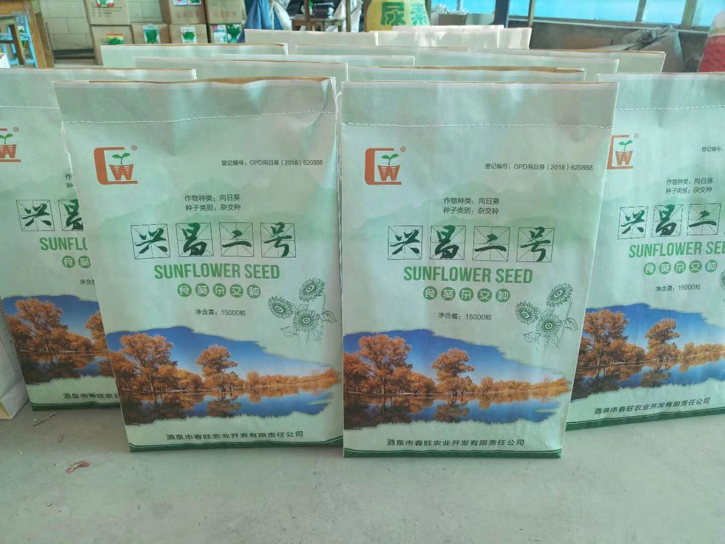 黄秋葵种子  常规良种 