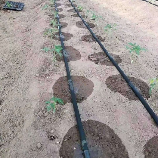 济南贴片式滴灌带 