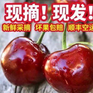 大连 大连樱桃