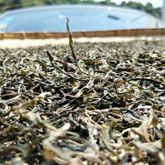 勐腊县普洱生态茶 特级 散装 