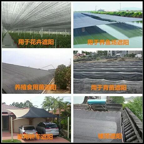  黑网纱加密加厚遮阳网防晒网大棚养殖遮阴网隔热网遮光农用太阳网