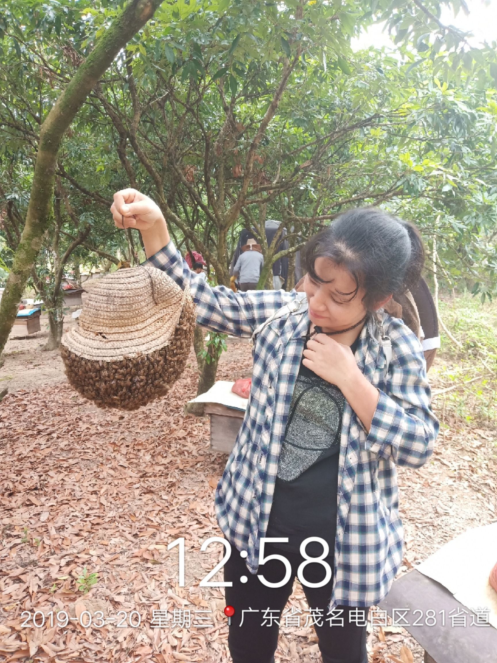 荔枝蜜 塑料瓶装 1年  