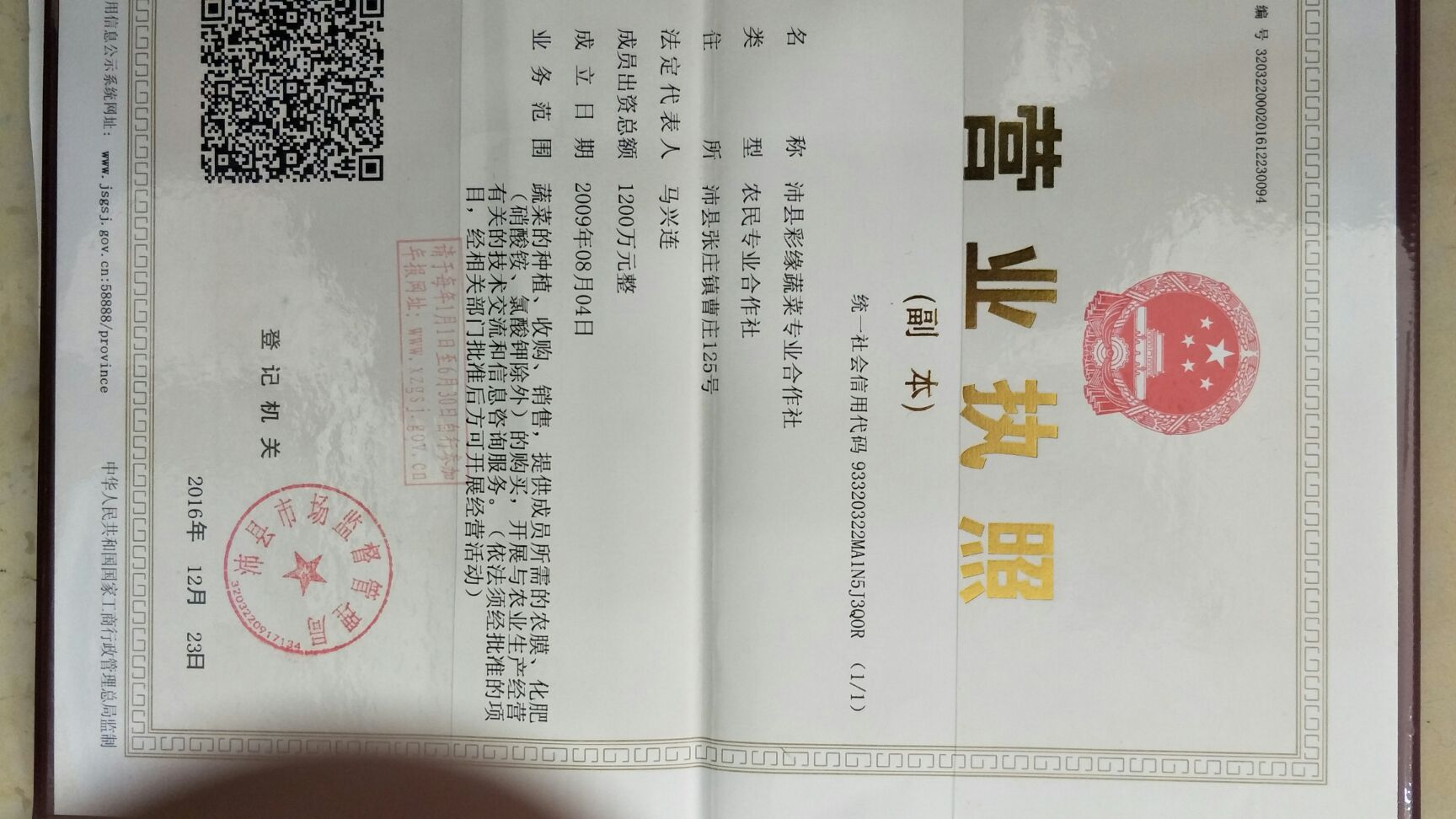 甜菜头  千亩甜菜基地