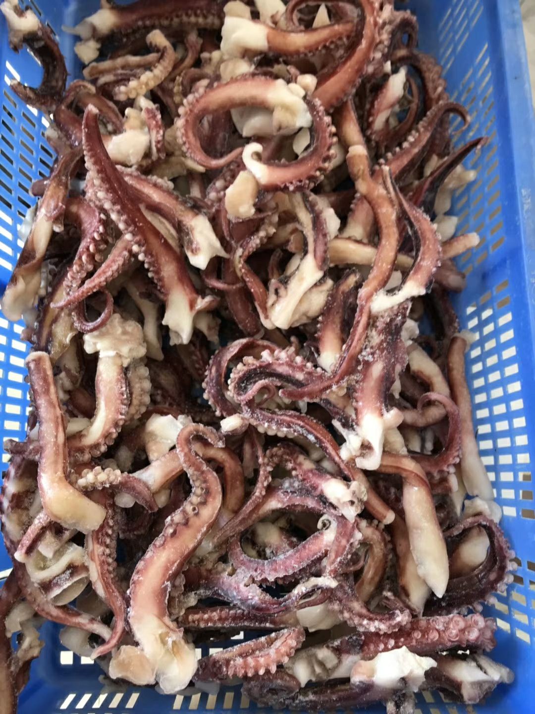 章鱼足片 6-12个月 