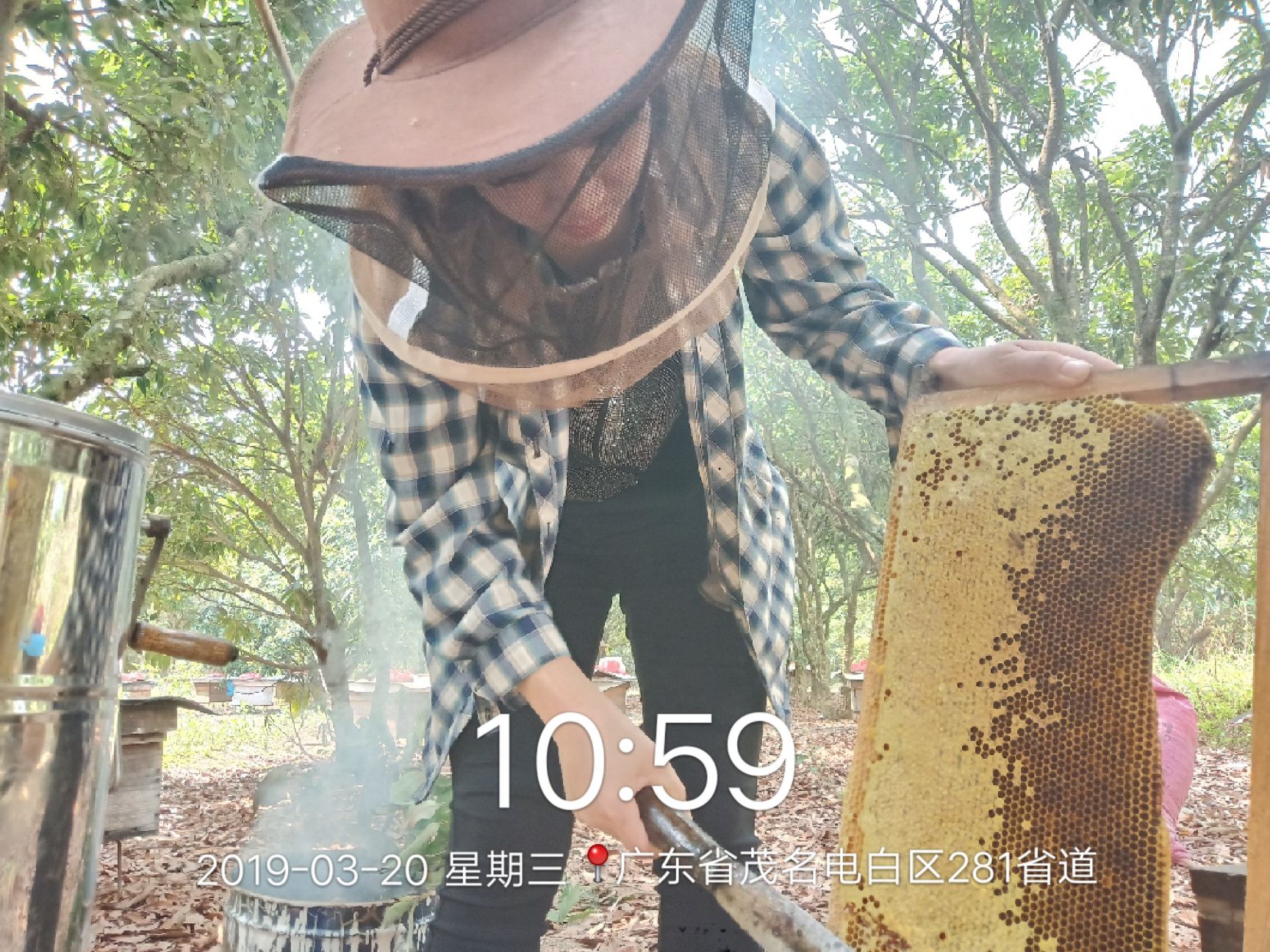 荔枝蜜 塑料瓶装 1年  