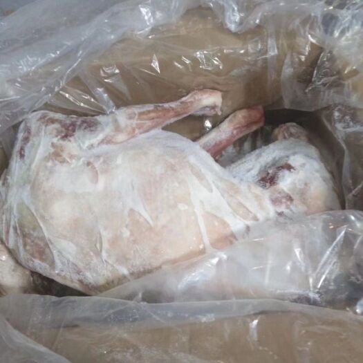 阳信县羊肉类 生肉 