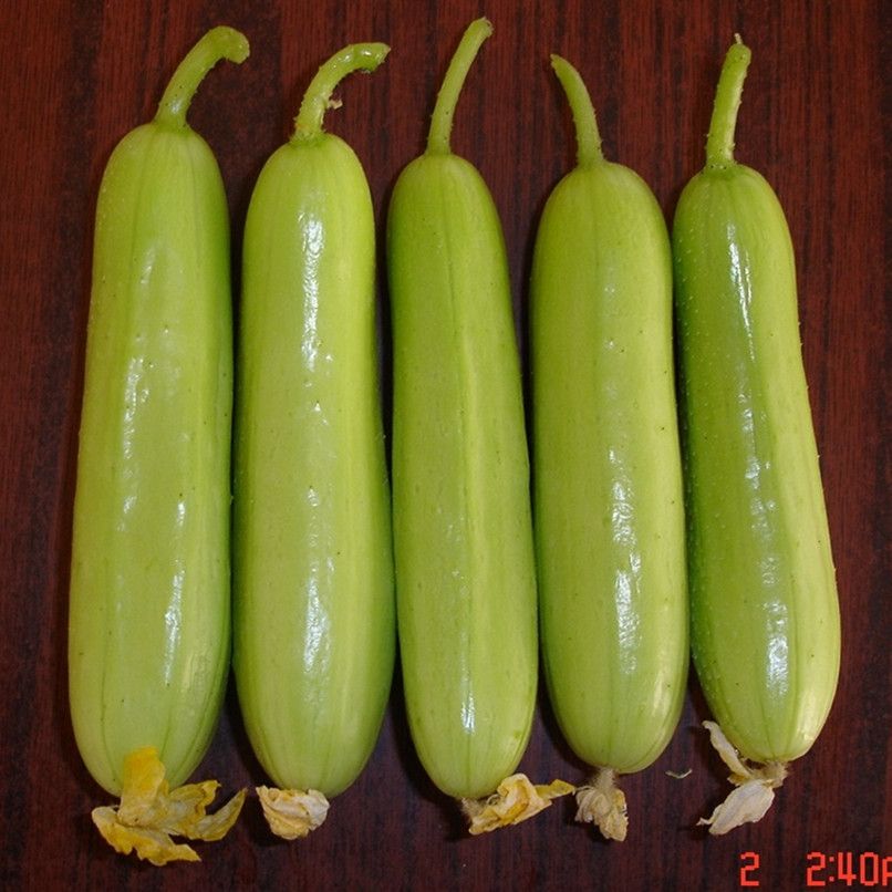 水果黄瓜种子 杂交种 ≥90%