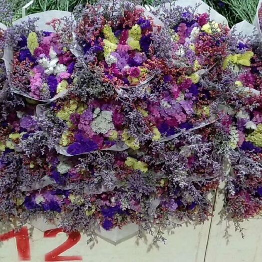 昆明勿忘我  花束