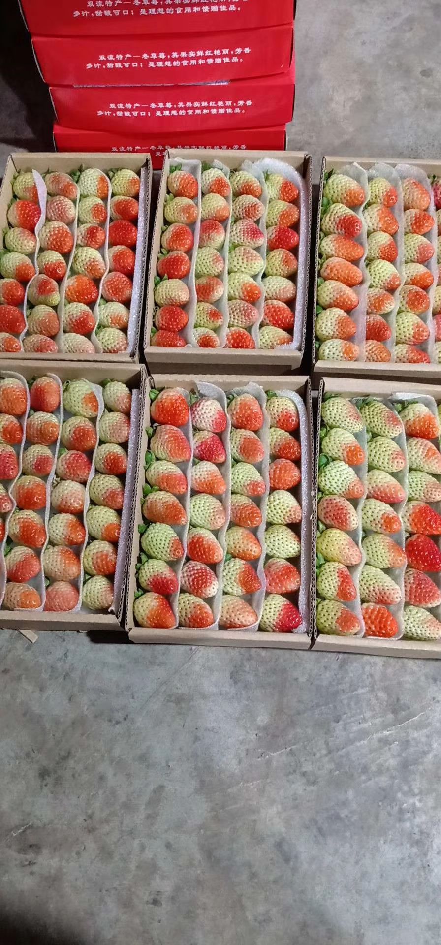 蒙特瑞草莓 300多克一盒，20多斤一件