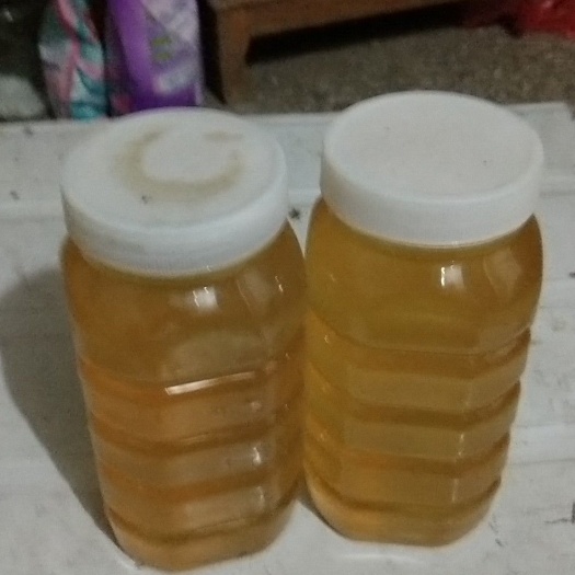 民权县油菜蜜 塑料瓶装 2年  