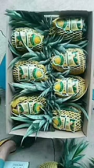 无眼菠萝 2.5 - 3斤