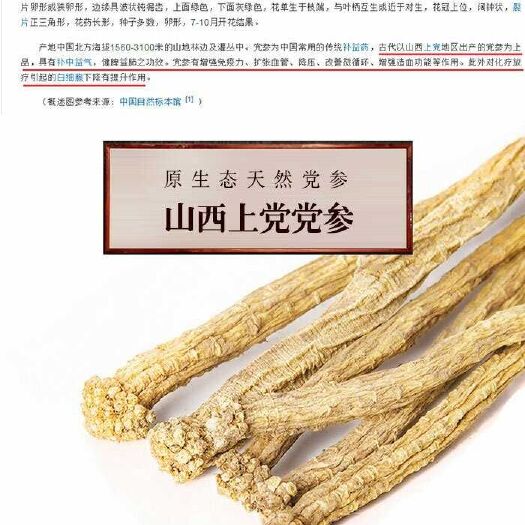 平顺县潞党参
