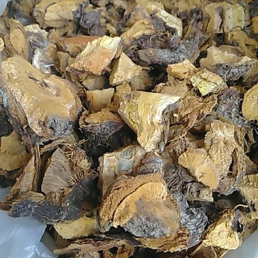 略阳县陕西略阳生长虎杖根中药材天然植物草本食材批发零包邮