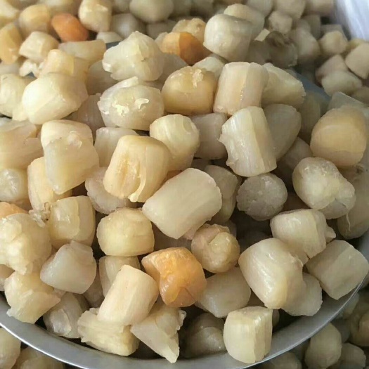饶平县干贝 