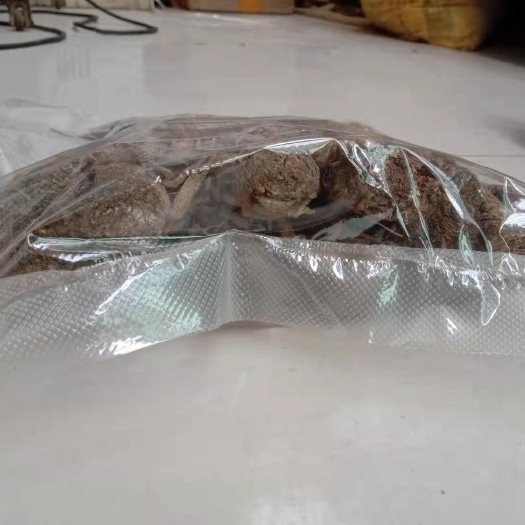 岷当归中药材甘肃岷县产地直发滋补好货品质药材选择我们不会错