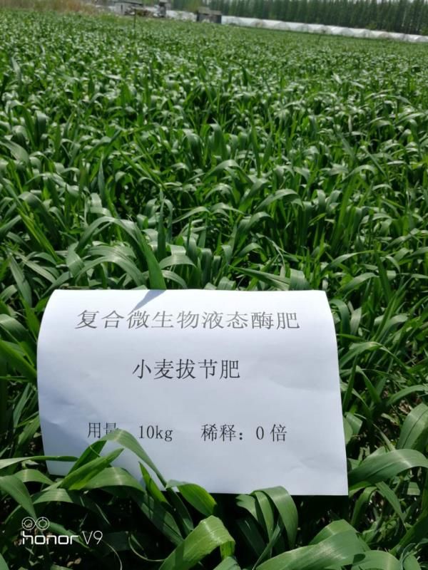 液体肥料 