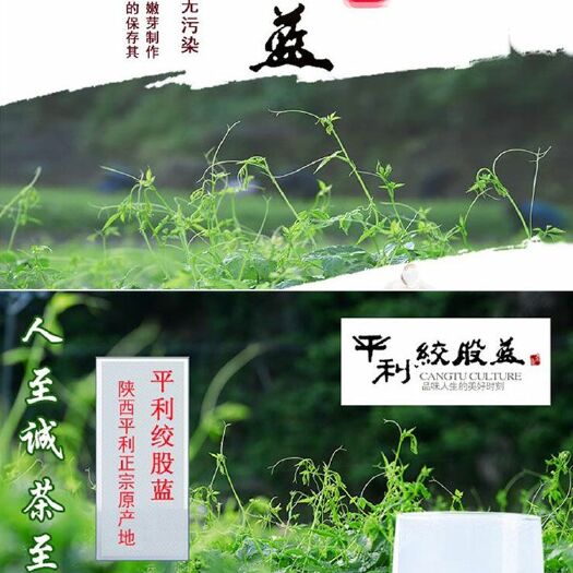 平利县绞股蓝  【高档精品】龙须茶/叶茶保健茶产地直供批发代