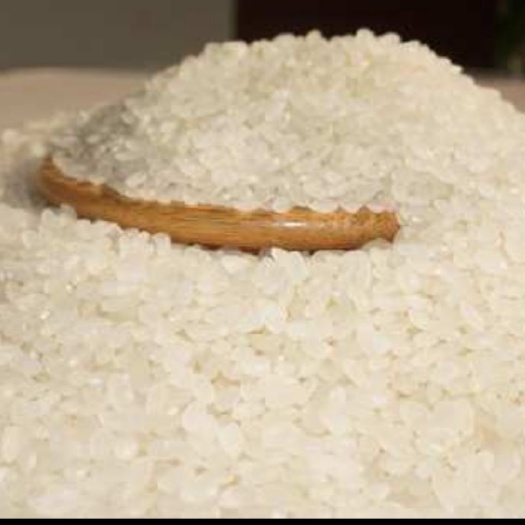 盘山县盘锦大米 一等品 一季稻 粳米 