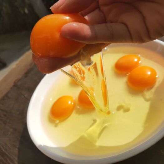 杭州土鸡蛋 食用 箱装