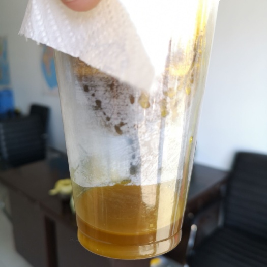 二连浩特油菜籽 