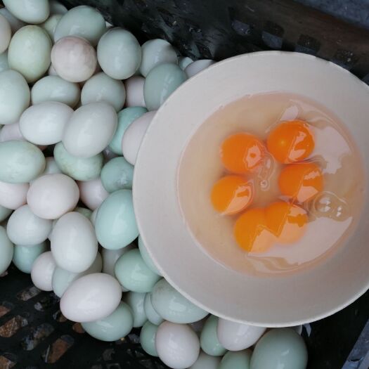 衡阳县土鸭蛋 食用 箱装 