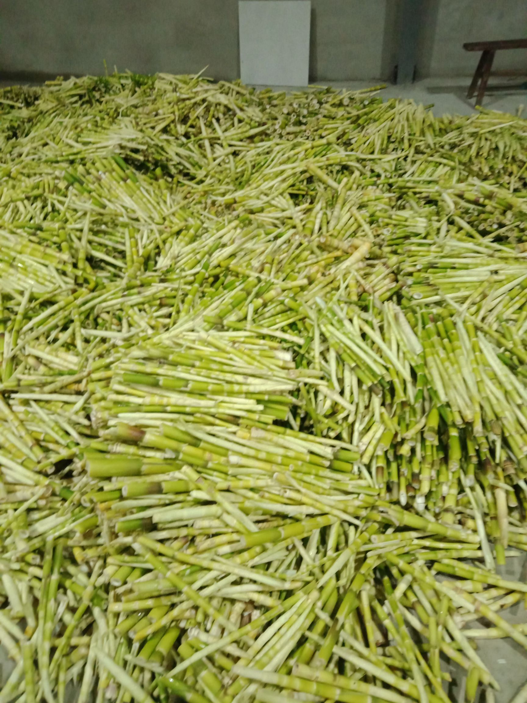  全部是优质的笋干，采用当天新鲜野生小竹笋，高科技设备烘干！