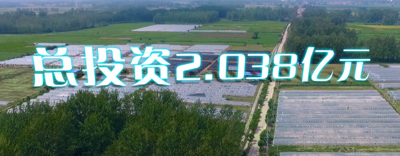  构香猪，有机无抗！