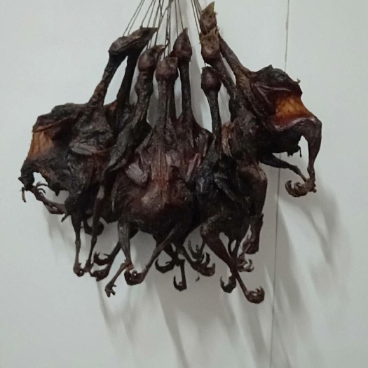 洞口县腊鸡 袋装 