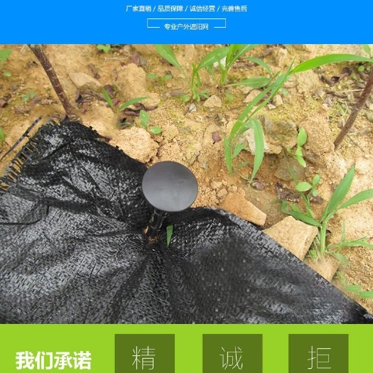 德州地钉 防草布专用地钉 地膜专用地钉