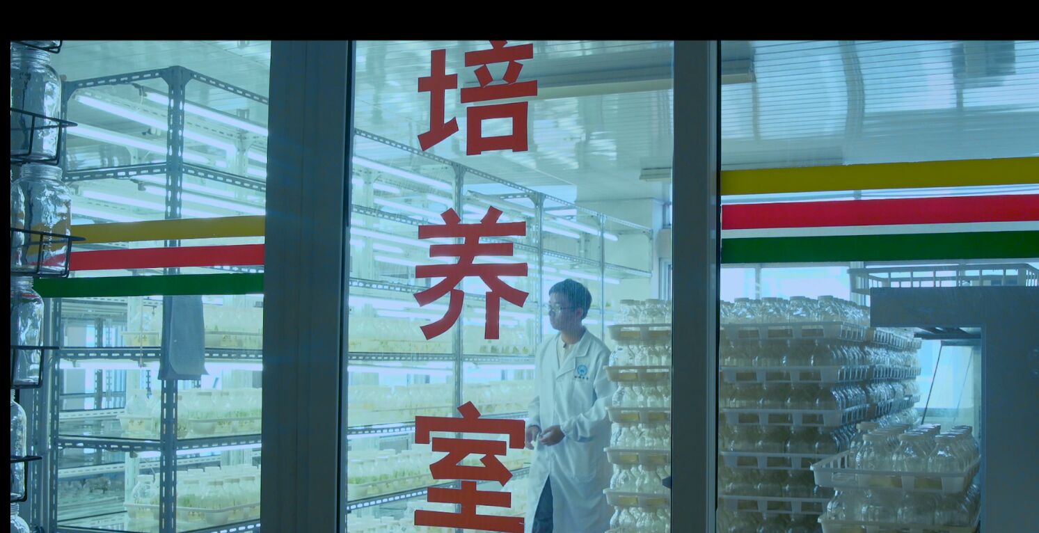  构香猪，有机无抗！