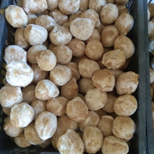 延津县河南变蛋 