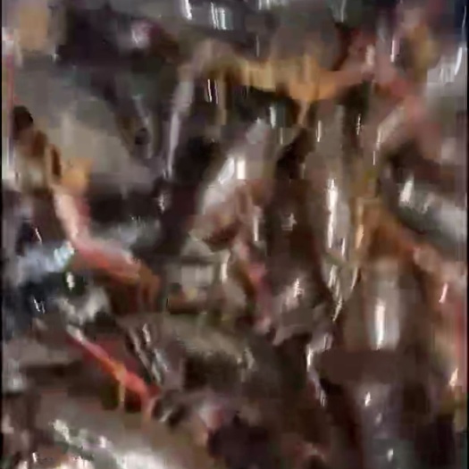 和县龙虾苗 