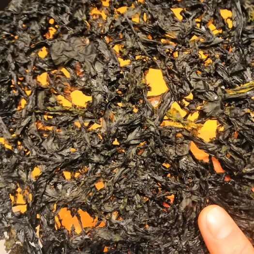 广州南澳紫菜 
