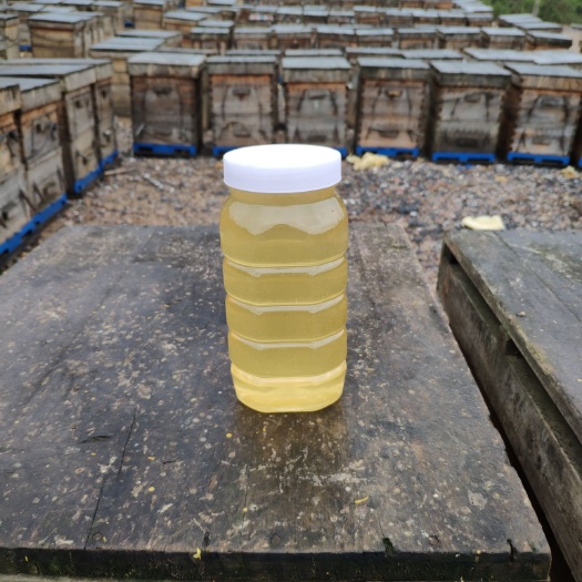 平南县油菜蜜 塑料瓶装 2年  