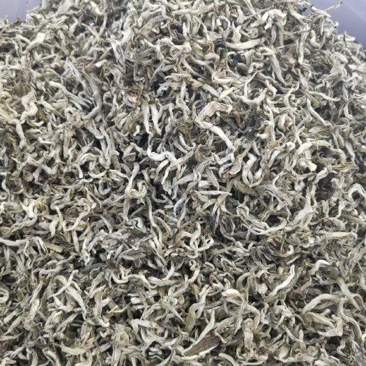 思茅早白尖 特级 散装 